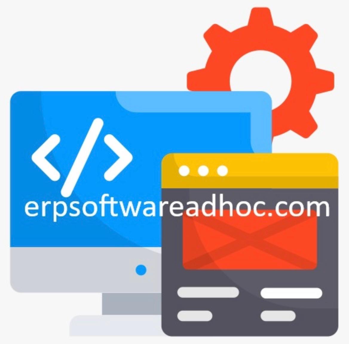 ERP Software Ad Hoc